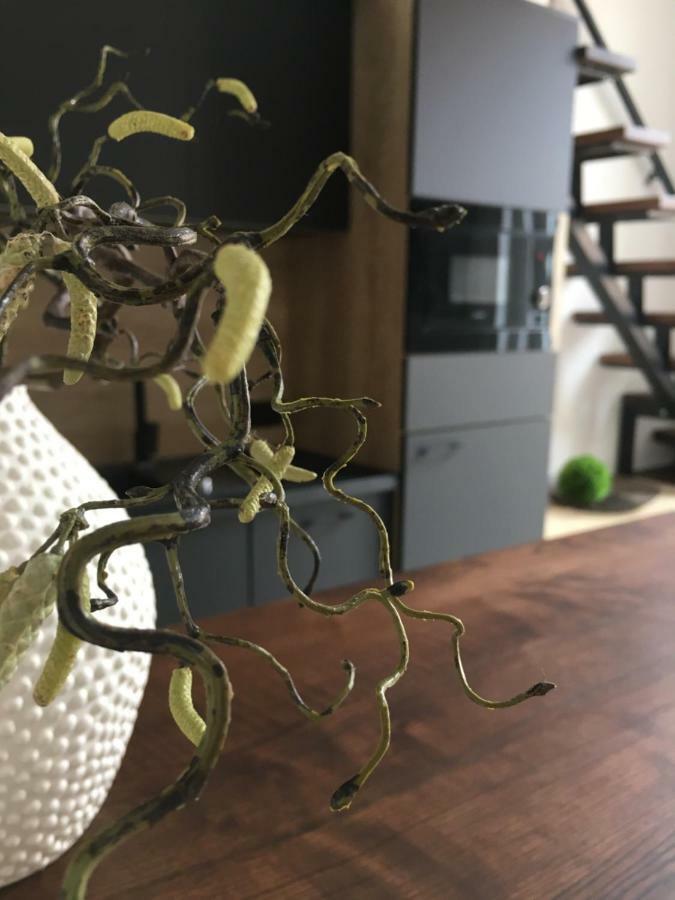 Goodmood Apartment Debrecen Bagian luar foto